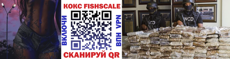Купить  Тара  Кокаин Fish Scale 
