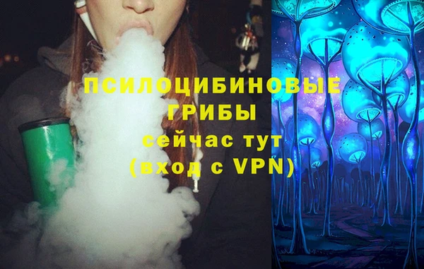 гашик Новокубанск